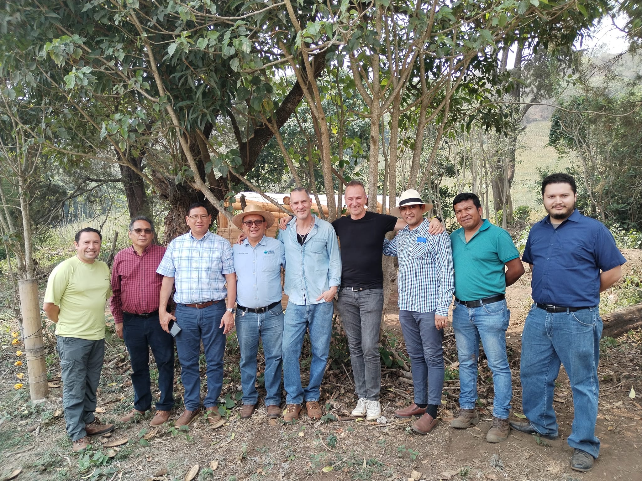 484073224 662272649658164 1110970706386214403 n