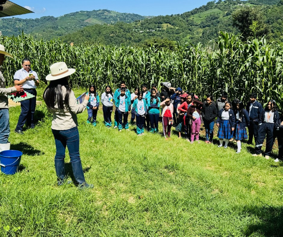 484642556 664866152732147 1243981337728992561 n